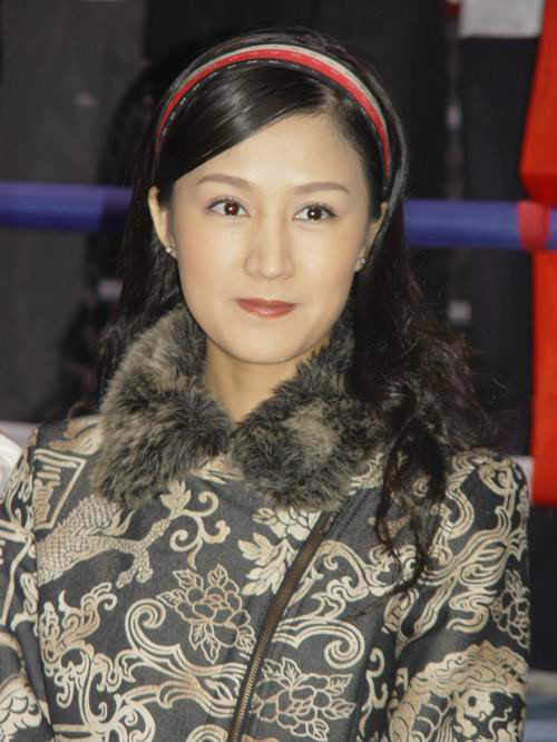 铁拳浪子叶冰