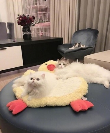 第4张图片
