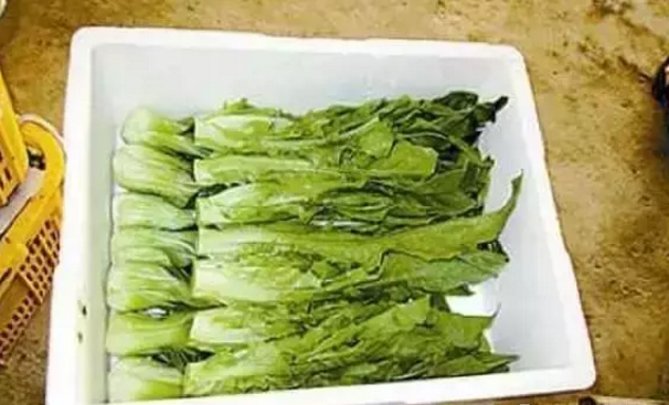 第8张图片