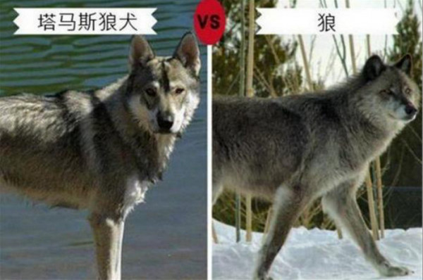 第3张图片