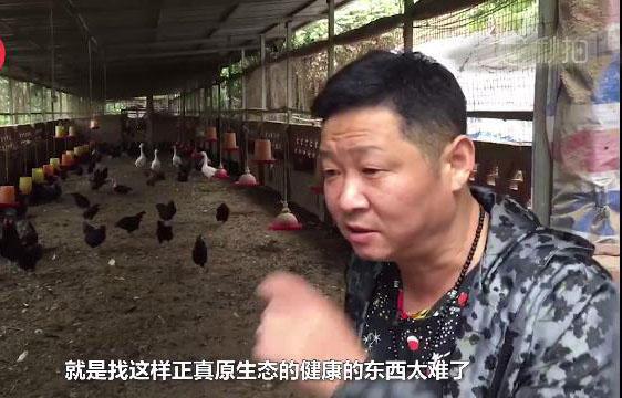 第4张图片