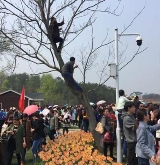第1张图片