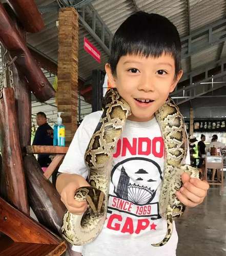 第5张图片