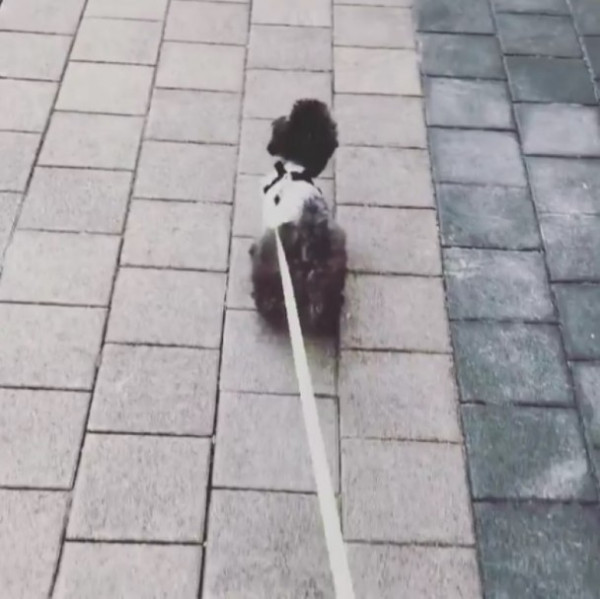 第3张图片