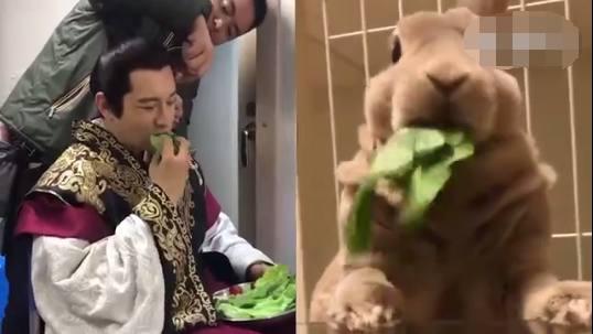 第4张图片