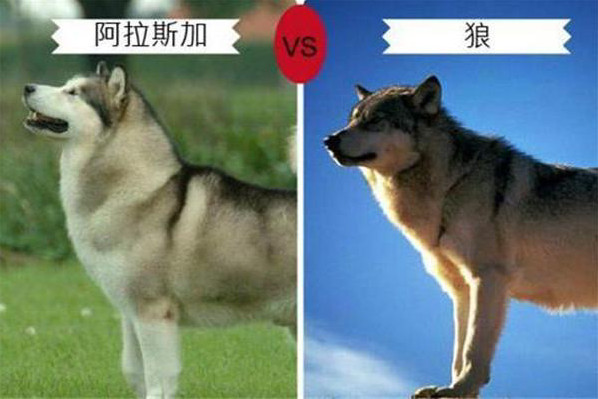 第4张图片