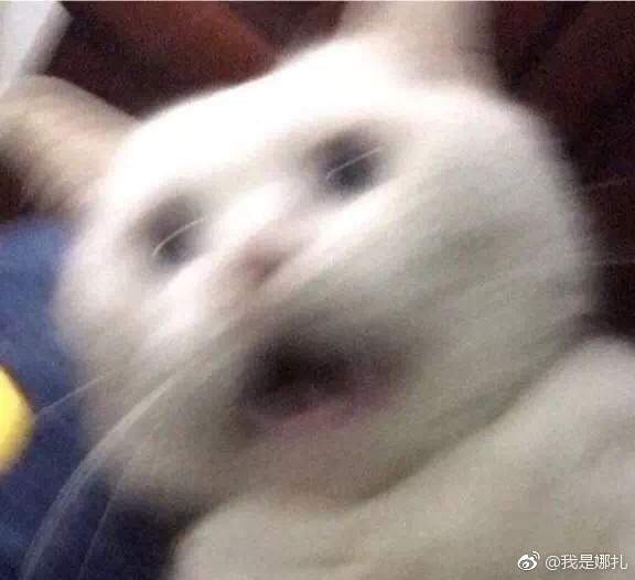 第4张图片