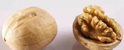 第5张图片