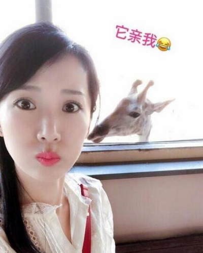 第2张图片