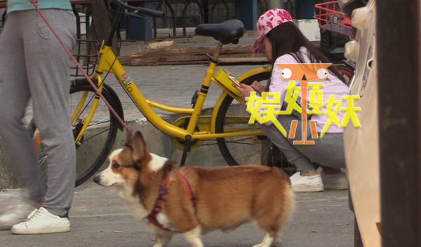 第10张图片
