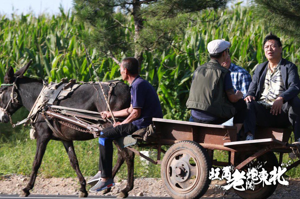 第4张图片