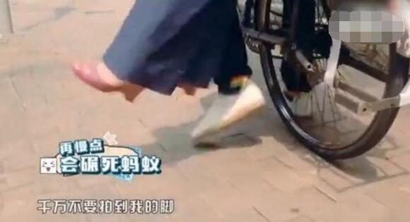 第2张图片