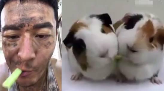 第3张图片